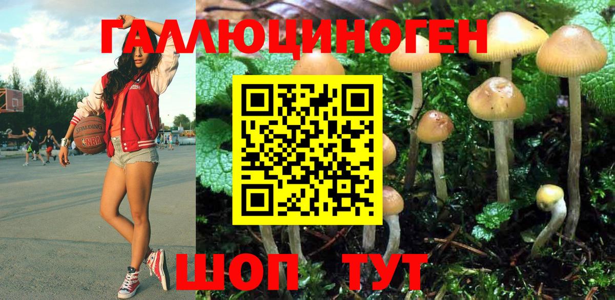 Пугачёв  Псилоцибиновые грибы MAGIC MUSHROOMS  Галлюциногенные грибы MAGIC MUSHROOMS  Вход с VPN 